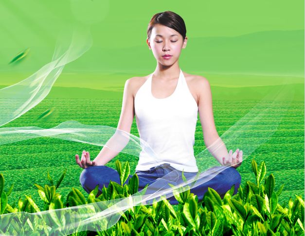 东莞不动产权证查询网站